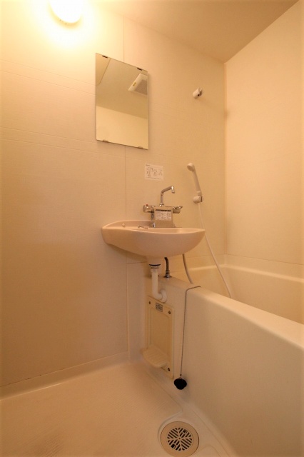 バス・シャワールーム　※同建物・別号室の写真です