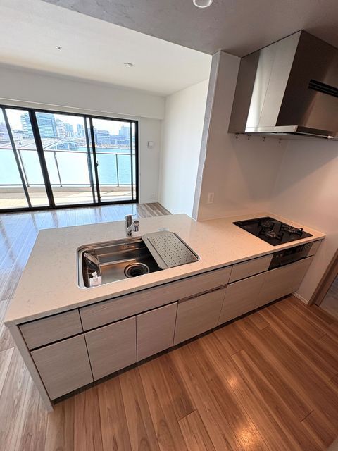 キッチン　３口ガスコンログリル付・ディスポーザー・