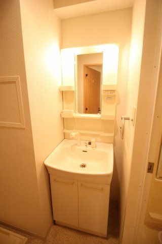 洗面設備　別タイプ参考写真　ルネッサ王子　北区王子2