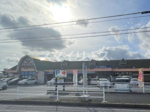 スーパー　FOODS MARKET Selection(フーズマーケッ（スーパー）まで572m
