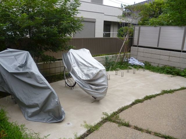 庭