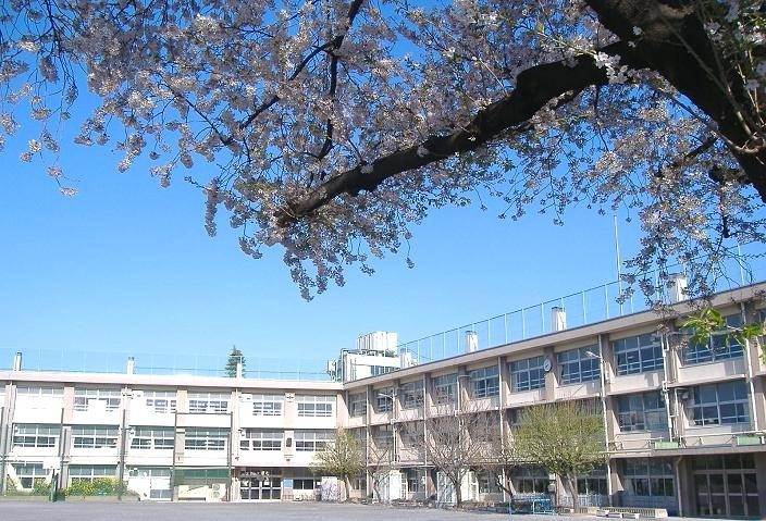 小学校　練馬区立田柄第二小学校（小学校）まで443m