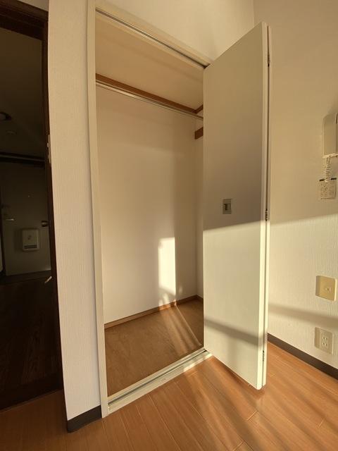 収納　一人なら十分な広さの収納です。