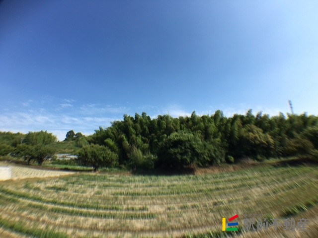 眺望　のどかな眺め♪
