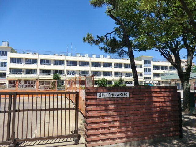 小学校　葛飾区立柴又小学校（小学校）まで901m