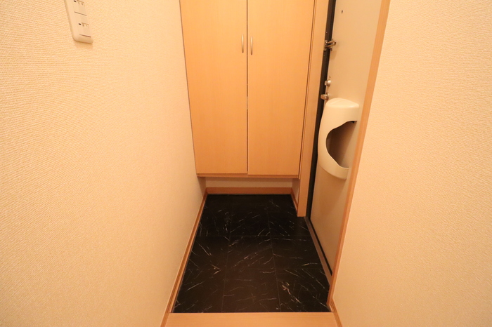 玄関　※写真は同間取りの101号室の物です