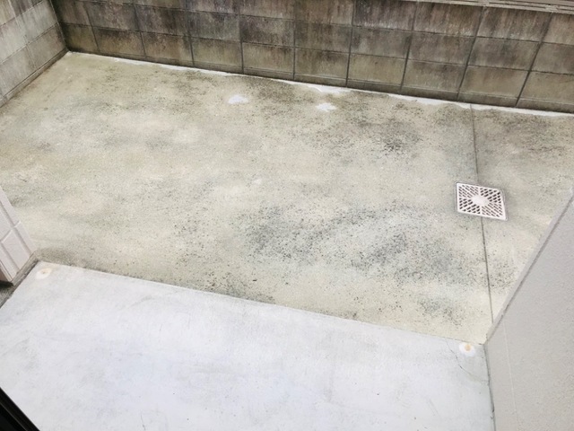 庭　※同タイプの部屋写真です
