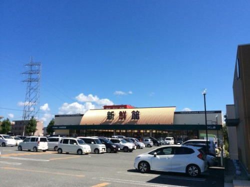 スーパー　ハニー新鮮館 つくし野店（スーパー）まで1100m