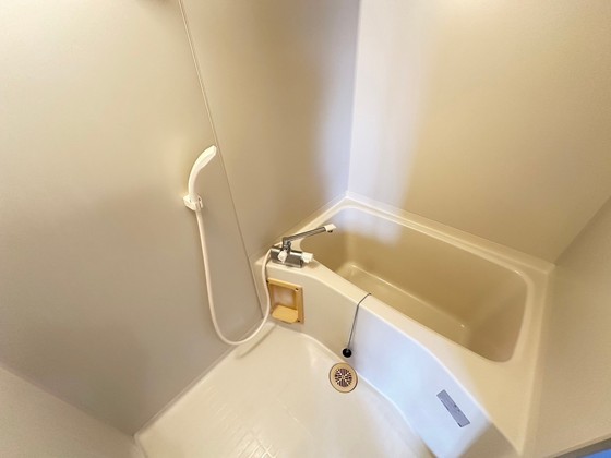バス・シャワールーム　※別部屋の写真です