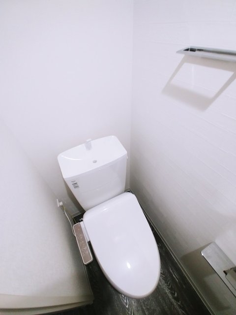 トイレ　色違い有