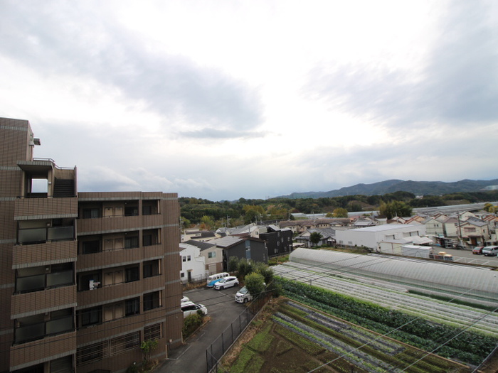 眺望