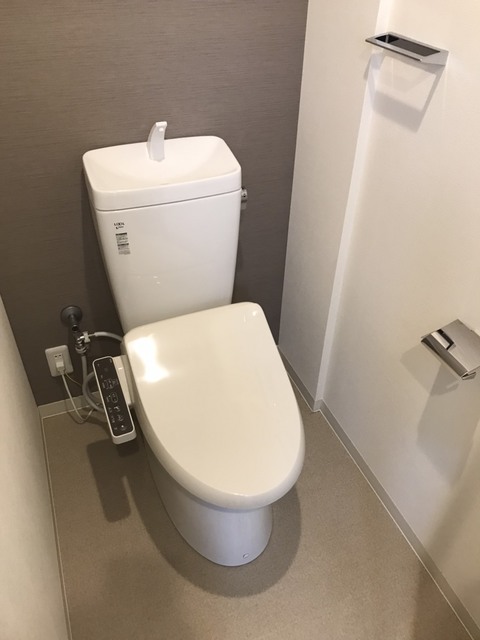 ビギンハイツA棟のトイレ写真