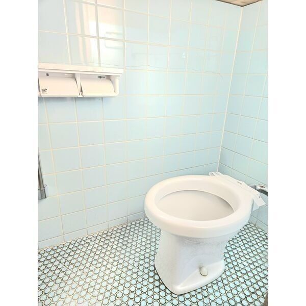 ファミーユヤノ3号棟のトイレ写真