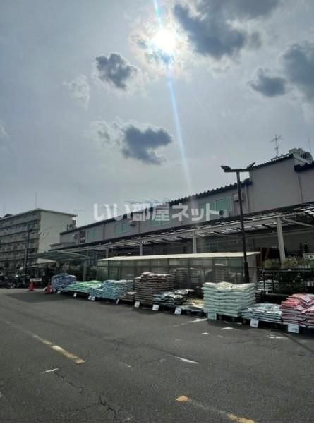 ホームセンター　ＤＣＭ東久留米南町店（ホームセンター）まで383m