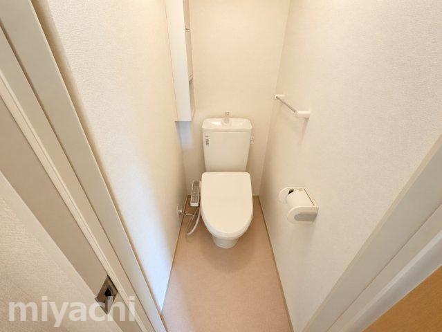 ＪＲ高徳線 勝瑞駅 徒歩21分 2階建 築13年のトイレ写真