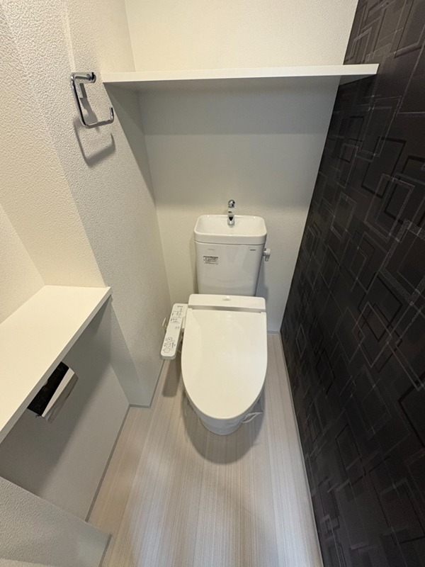 スワンズシティ心斎橋ルーノのトイレ写真