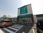 ドラックストア　ザグザグ高崎店（ドラッグストア）まで2800m