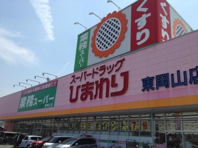 【岡山市北区田中のアパートのドラックストア】