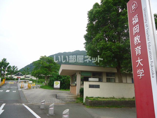 大学・短大　福岡教育大学（大学・短大）まで956m