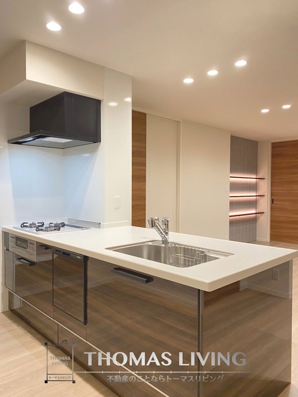 キッチン　食器洗浄乾燥機付きのペニシュランキッチンです。