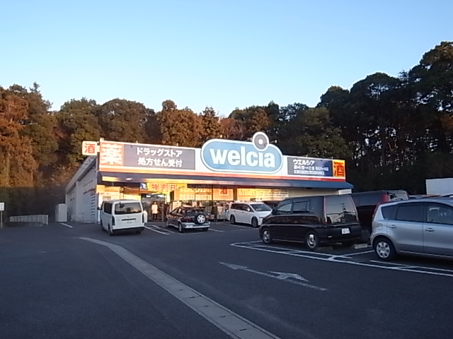 ドラックストア　ウエルシア我孫子下ヶ戸店（ドラッグストア）まで618m