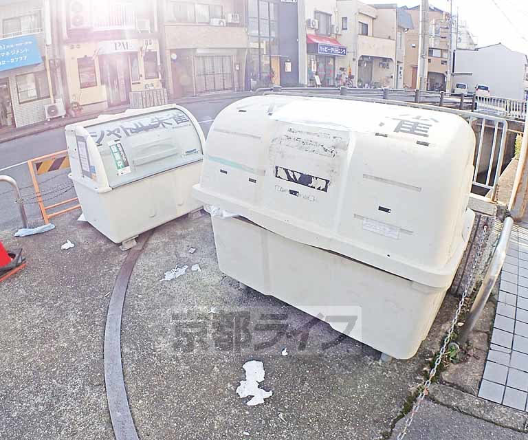 庭