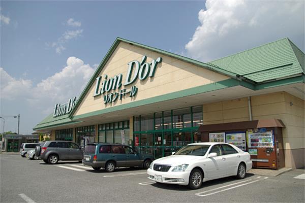 スーパー　リオン・ドール　高根沢店（スーパー）まで1219m