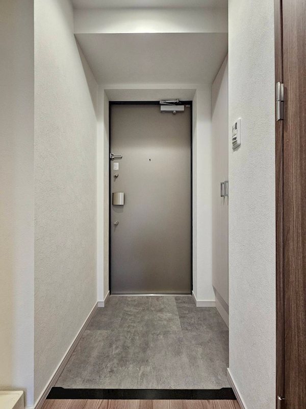 ディアレイシャス名古屋大須通南の玄関写真