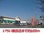 スーパー　いちい（スーパー）まで600m