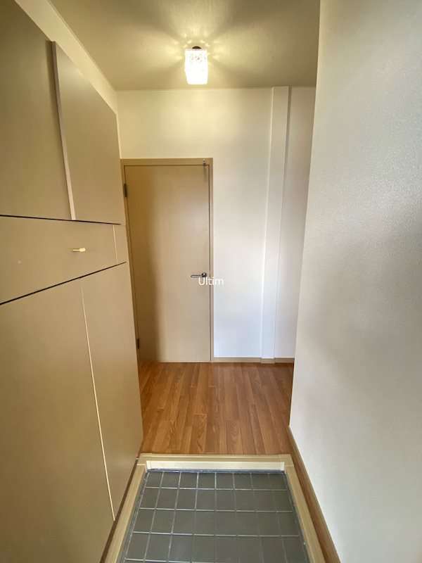 玄関　※別のお部屋の写真です