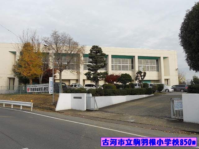 小学校　古河市立駒羽根小学校（小学校）まで850m