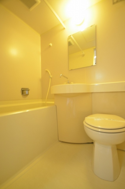 バス・シャワールーム　別号室の写真です。