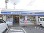 コンビニ　ローソン長浜平方店（コンビニ）まで650m