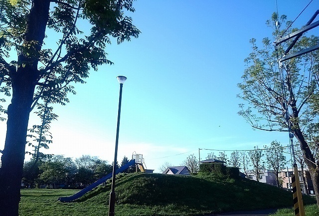 公園　新川ひばりがはら公園（公園）まで140m