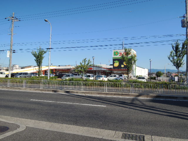 スーパー　コノミヤ深井店（スーパー）まで1124m