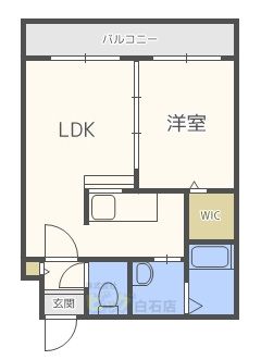 サンコート本郷通の間取り