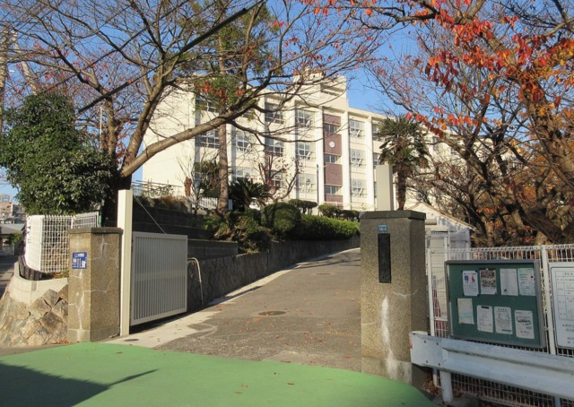 小学校　神戸市立塩屋小学校（小学校）まで592m