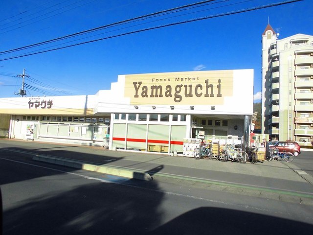 スーパー　ヤマグチ（スーパー）まで1100m