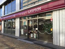 コンビニ　ナチュラルローソン新川一丁目店（コンビニ）まで172m