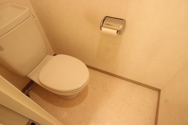 トイレ　同物件別号室のものです。