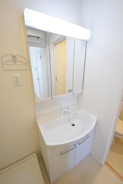 洗面設備　シャンプードレッサー付き。