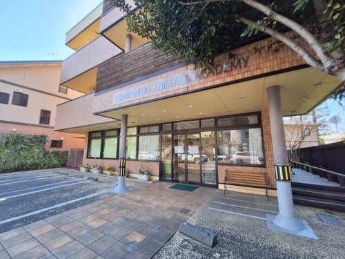 病院　氷川の杜 動物病院（病院）まで557m