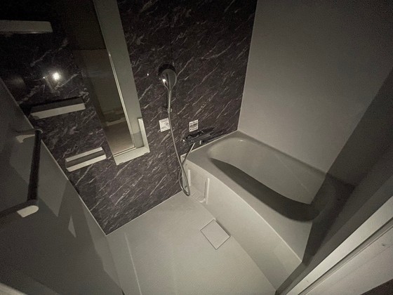 バス・シャワールーム　※別部屋の写真です