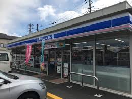 コンビニ　ローソン 坂戸石井南店（コンビニ）まで880m