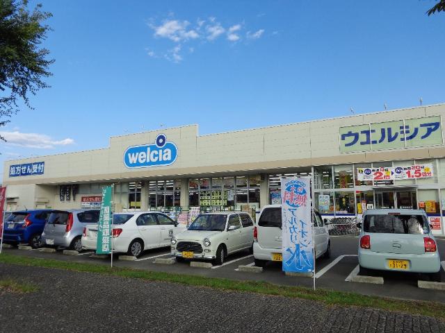 その他　ウエルシア薬局龍ケ崎長山店（その他）まで739m