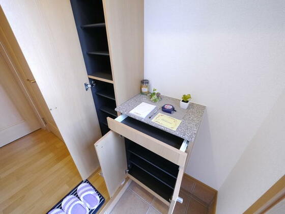 玄関　玄関シューズボックス