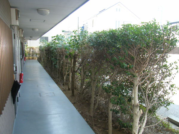 エントランス　１階共用廊下