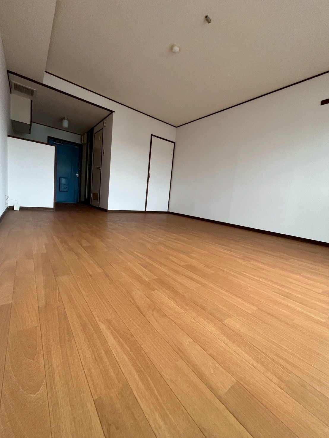 ビッグバーンズマンション谷山の居間写真