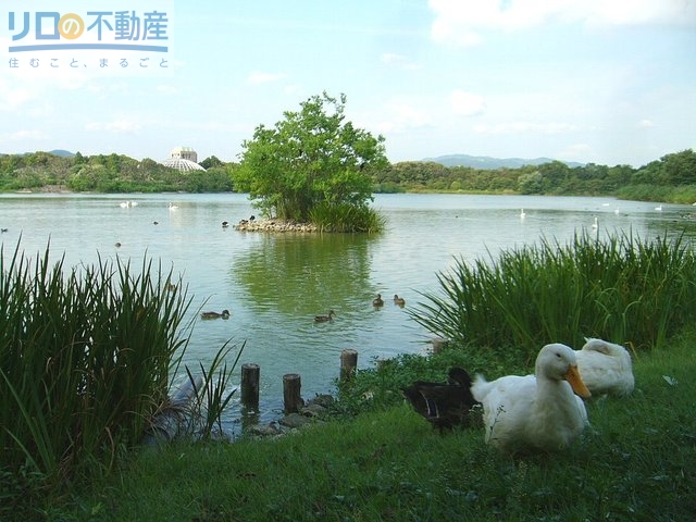 その他　昆陽池公園（その他）まで1402m