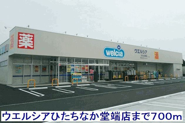 ドラックストア　ウエルシア堂端店（ドラッグストア）まで700m